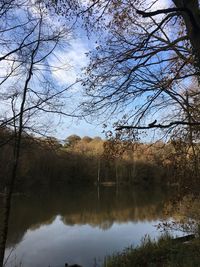 Reflection of trees in lake against sky