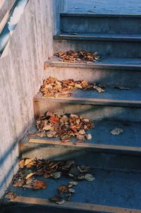 Close-up of rusty metal during autumn