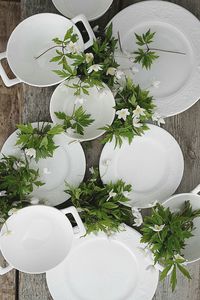 High angle view of white flowers in bowl on table