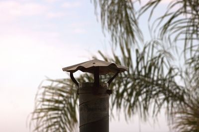 Close-up of pole against palm fronds