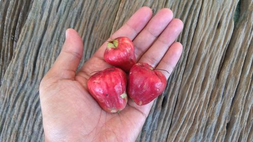 Close-up of hand holding strawberries