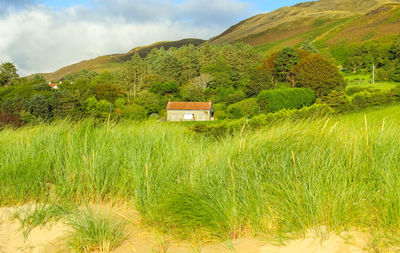 Scenic view of landscape