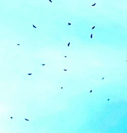 Full frame shot of multi colored background