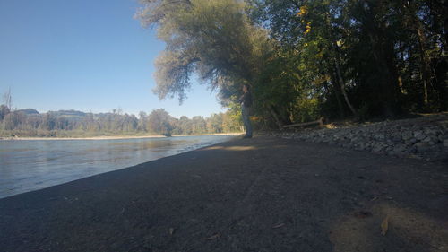 Scenic view of road by trees against sky