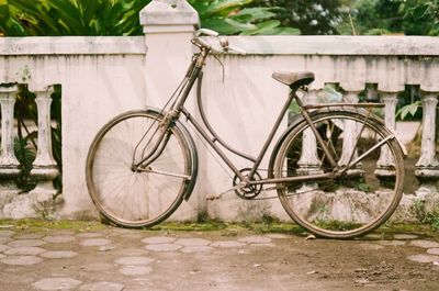 Bicycle parked by tree