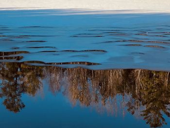 Reflection of trees in lake against blue sky