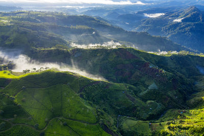 Aerial view of landscape