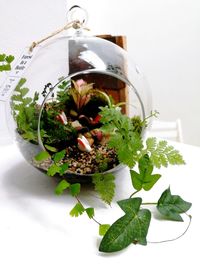 High angle view of vegetables on table
