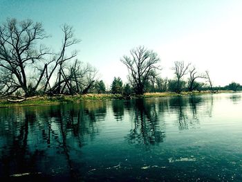 Reflection of trees in calm lake