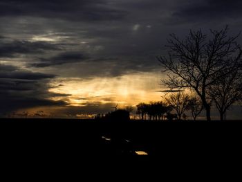 Silhouette bare trees on landscape against sky at sunset