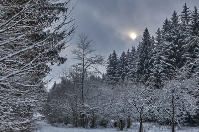 Scenic view of snow covered land against sky