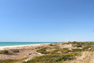 Scenic view of sea against clear blue sky