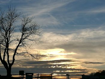 Silhouette tree against sky during sunset