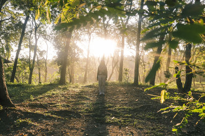 Rear view of person standing by trees in forest