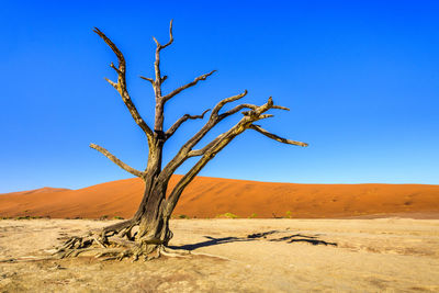 Scenic view of desert against clear blue sky