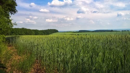 Scenic view of field against cloudy sky