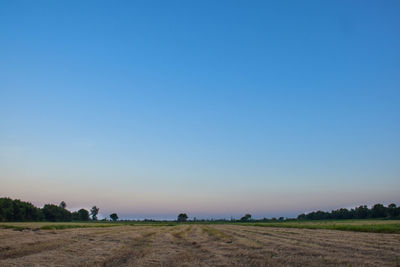 Scenic view of field against clear blue sky