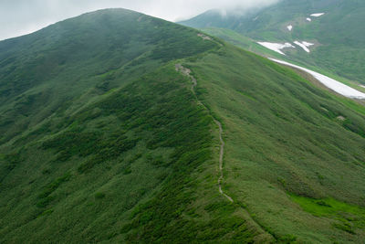 Scenic view of landscape