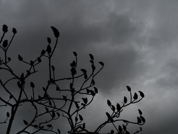 Low angle view of bare tree against cloudy sky