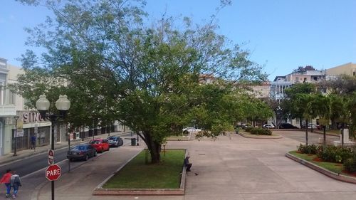 View of footpath along trees