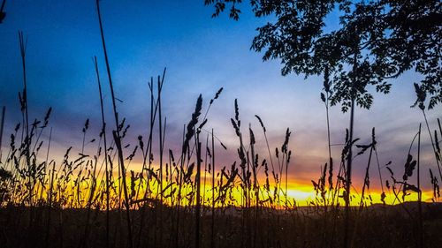 Scenic view of field against sky at sunset