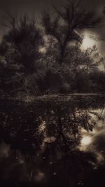 Silhouette trees by lake in forest against sky