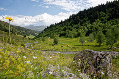 Scenic view of mountains against sky