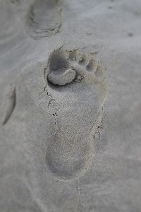 View of sandy beach