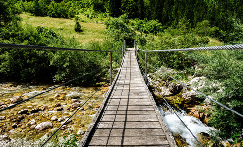 Footbridge amidst trees in forest