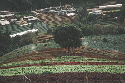 High angle view of farms and houses in village
