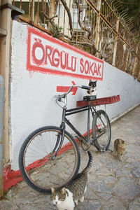 Bicycle sign on wall