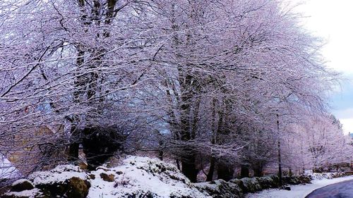 Snow covered landscape against sky