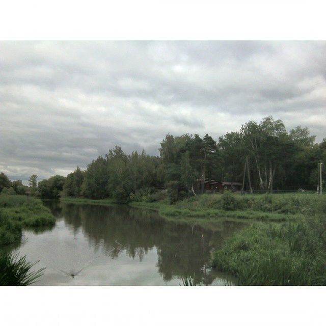 tree, sky, tranquil scene, transfer print, tranquility, cloud - sky, scenics, auto post production filter, cloudy, beauty in nature, nature, cloud, water, landscape, growth, lake, green color, day, idyllic, outdoors