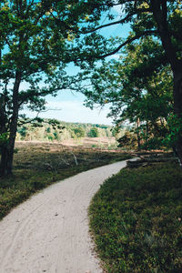 Empty road along trees and plants