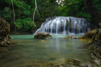 Scenic view of waterfall in forest