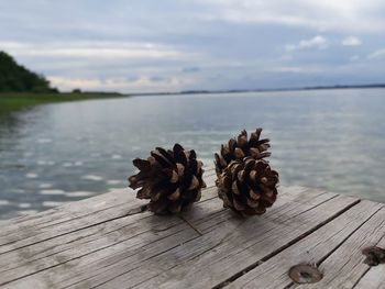 Close-up of pier on lake against sky