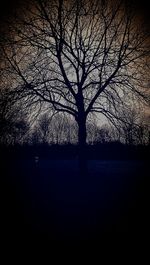 Silhouette bare trees against sky at sunset