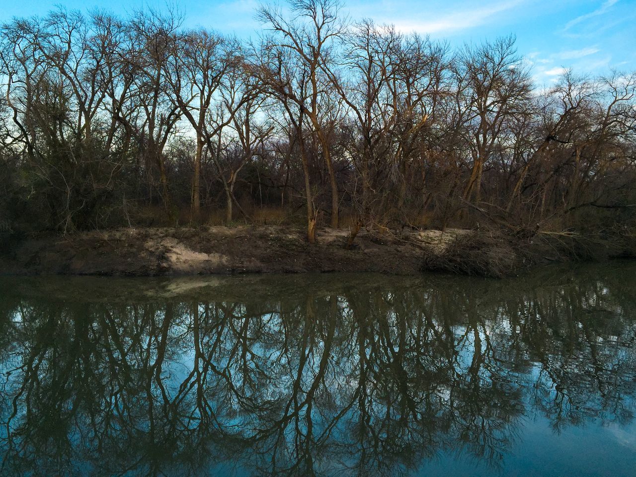 tree, water, reflection, lake, tranquility, tranquil scene, scenics, beauty in nature, sky, nature, bare tree, waterfront, branch, idyllic, standing water, no people, outdoors, growth, calm, non-urban scene