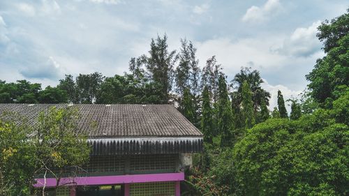 Plants and trees by house in forest against sky