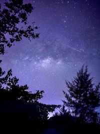 Low angle view of silhouette trees against sky at night