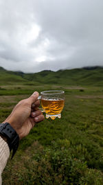 Cropped hand holding drink