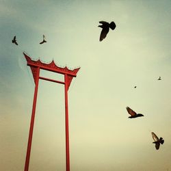 Low angle view of birds flying in sky