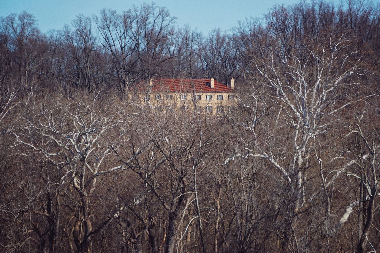 BARE TREES AND BUILDINGS IN FIELD