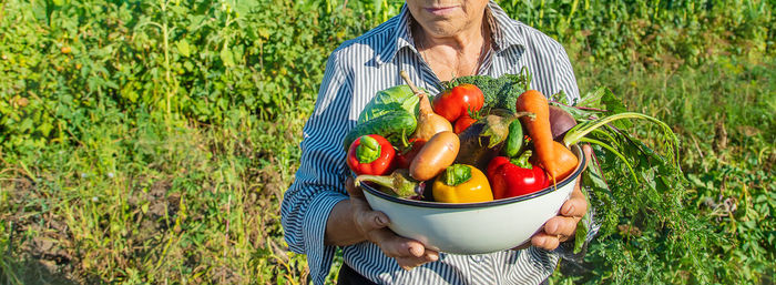Portrait of senior man with vegetables in yard