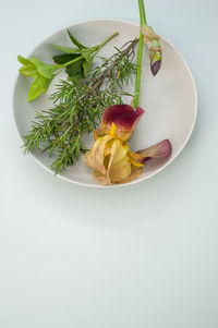 High angle view of fruits in plate on table