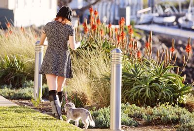 Rear view of woman walking with dog at park