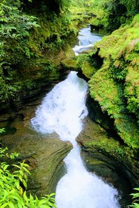 High angle view of waterfall in forest