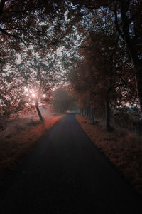 Road amidst trees during autumn