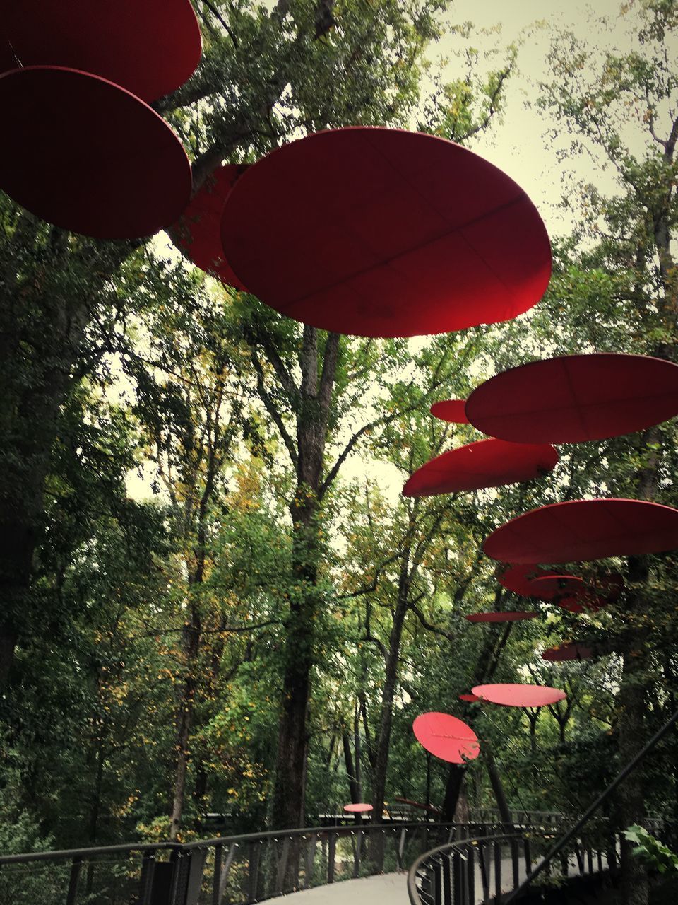 LOW ANGLE VIEW OF LANTERN HANGING FROM TREE