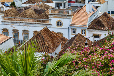 High angle view of flowering plants and houses in town